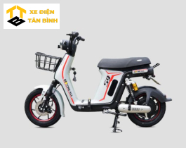 Xe Điện S9