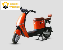 Xe Đạp Điện Garow