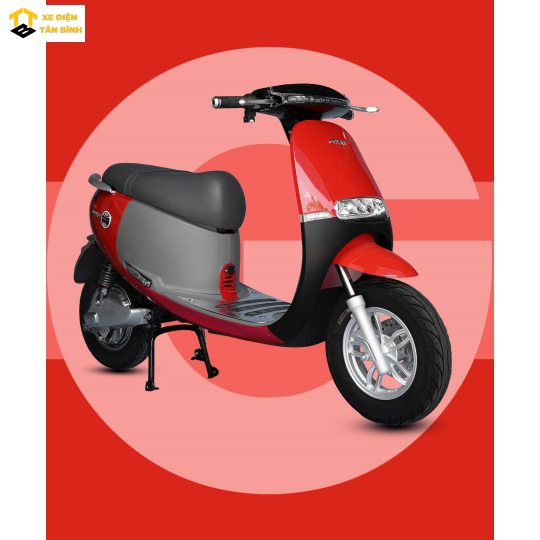 XE MÁY ĐIỆN GOPATH S
