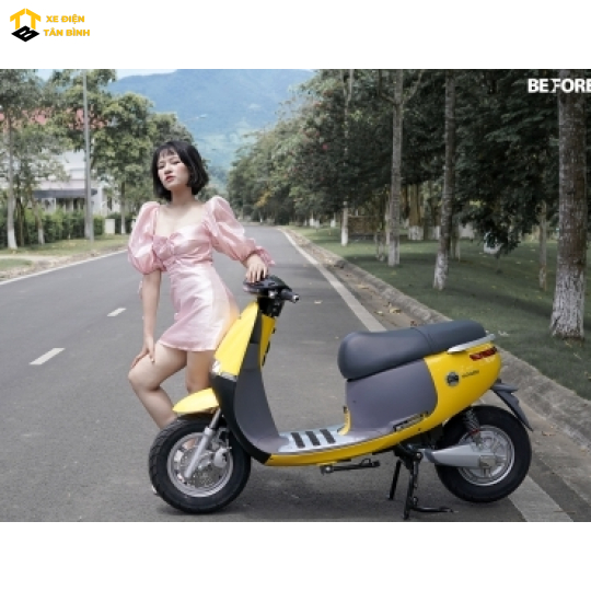 XE MÁY ĐIỆN GOPATH S