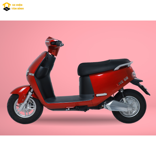 XE ĐIỆN LIVEGO