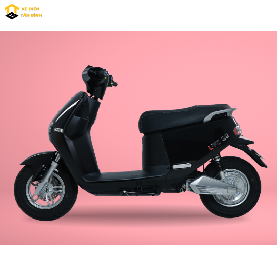 XE ĐIỆN LIVEGO