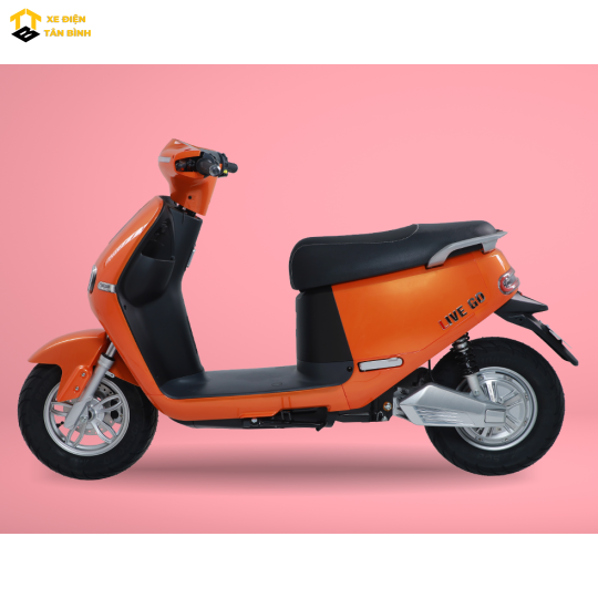 XE ĐIỆN LIVEGO
