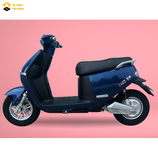 XE ĐIỆN LIVEGO