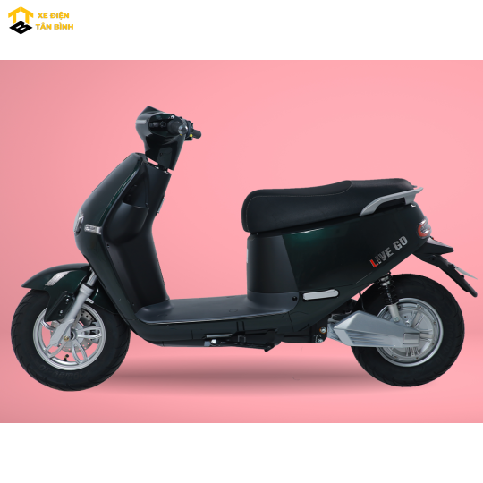 XE ĐIỆN LIVEGO