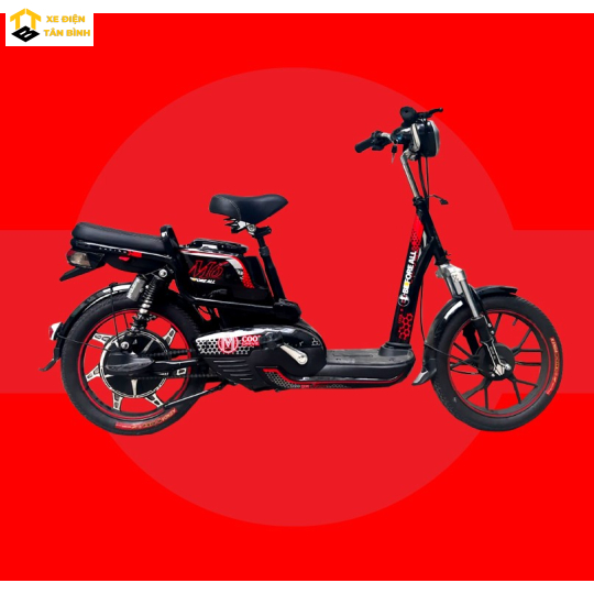 Xe Đạp Điện M6