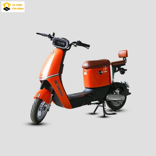 Xe Đạp Điện  Garow