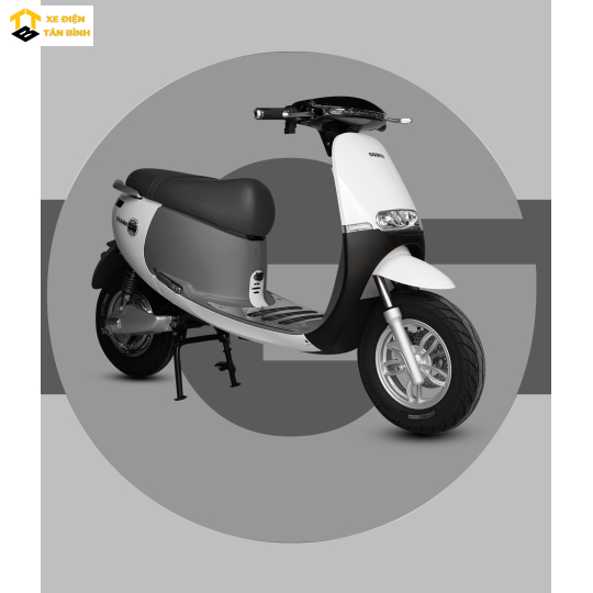 XE MÁY ĐIỆN GOPATH S