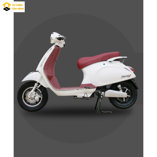 XE ĐIỆN NAPOLI S