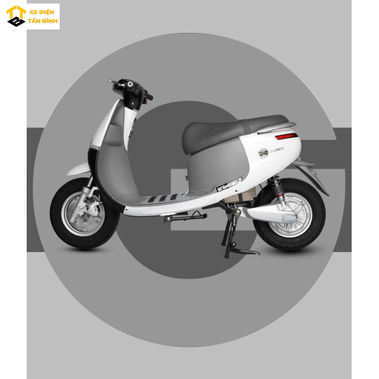 XE MÁY ĐIỆN GOPATH S