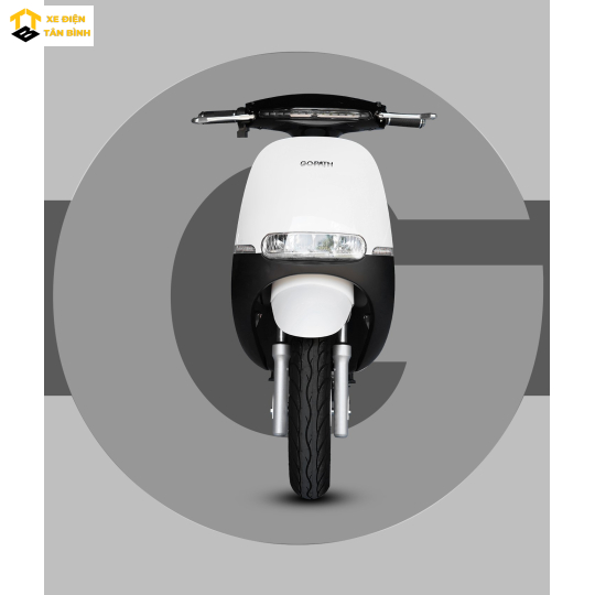XE MÁY ĐIỆN GOPATH S