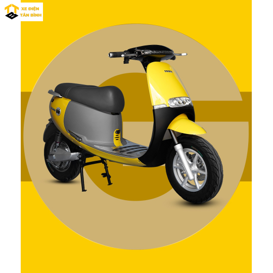 XE MÁY ĐIỆN GOPATH S