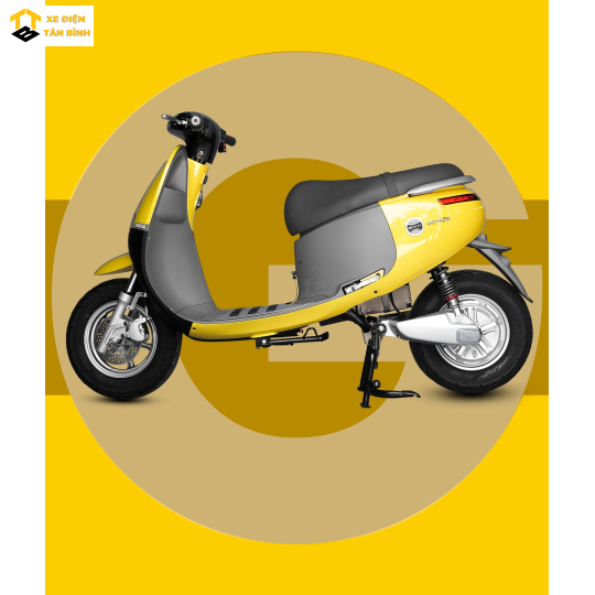 XE MÁY ĐIỆN GOPATH S