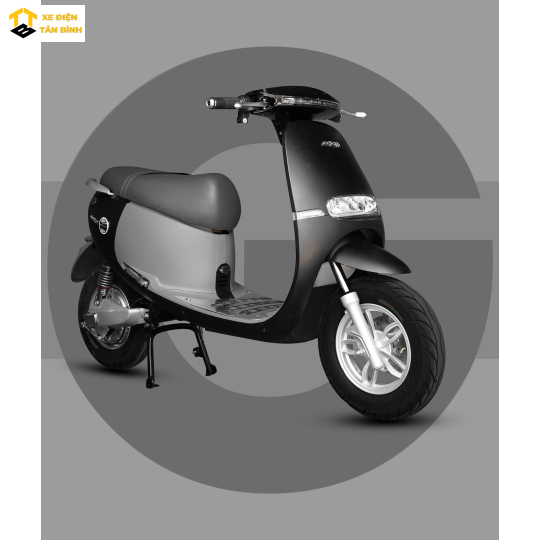 XE MÁY ĐIỆN GOPATH S