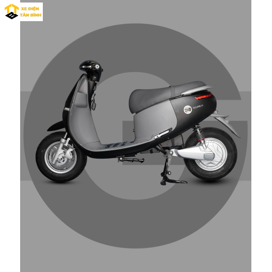 XE MÁY ĐIỆN GOPATH S