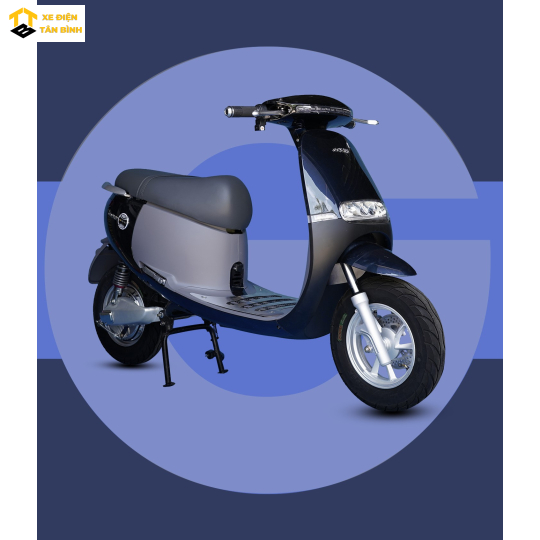 XE MÁY ĐIỆN GOPATH S